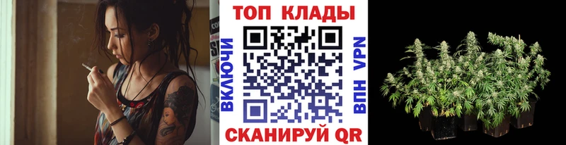 Все наркотики Звенигово ГАШ  Амфетамин  Мефедрон  Канабис  Cocaine 