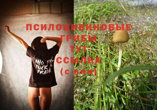 кокс Баксан