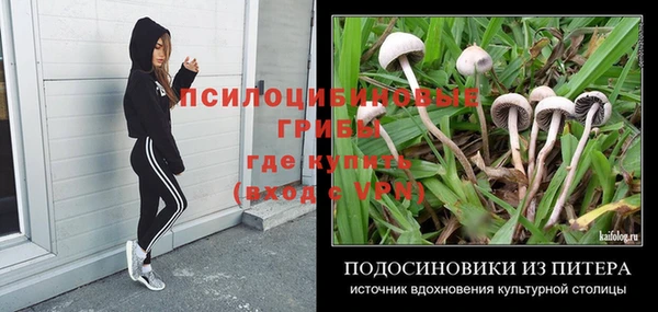 кокс Баксан