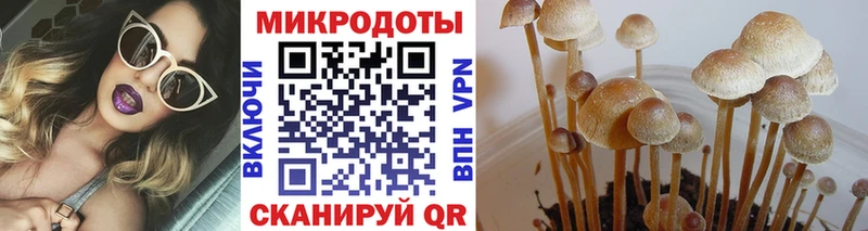 Галлюциногенные грибы прущие грибы  Звенигово 
